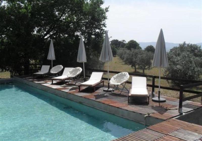 Casa Grande De Juncais