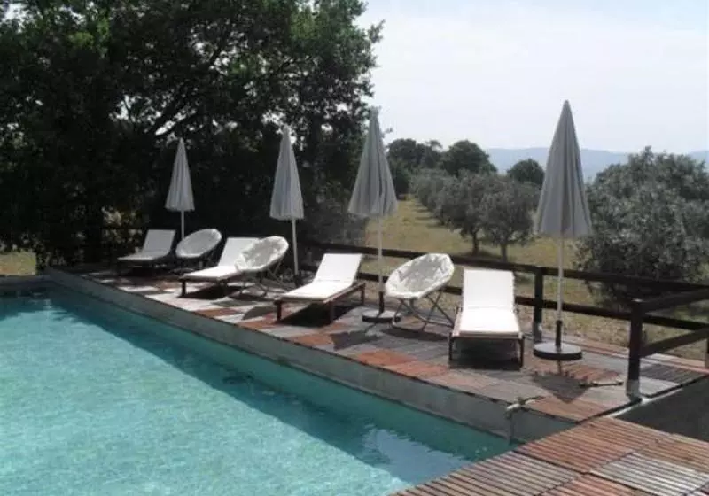 Casa Grande De Juncais