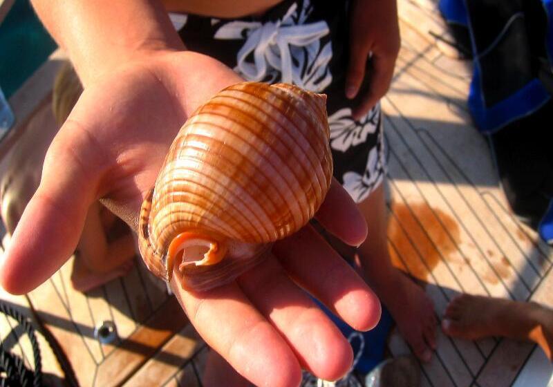 هتل Apartments Villa Riva