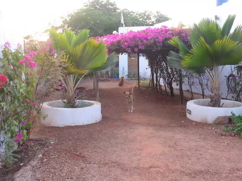 هتل Au Petit Jura