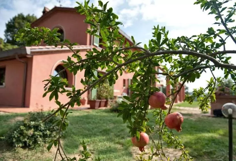 Podere Chiaromonte