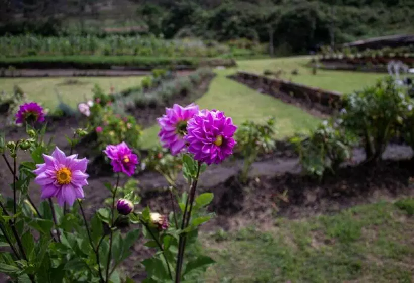 هتل Tuparina Lodge