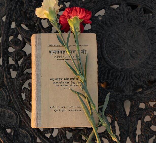 استراحتگاه Tree Of Life Darbargadh Dared