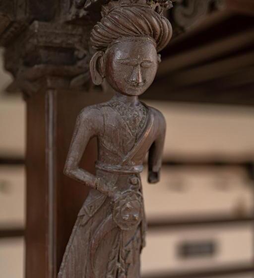 استراحتگاه Tree Of Life Darbargadh Dared