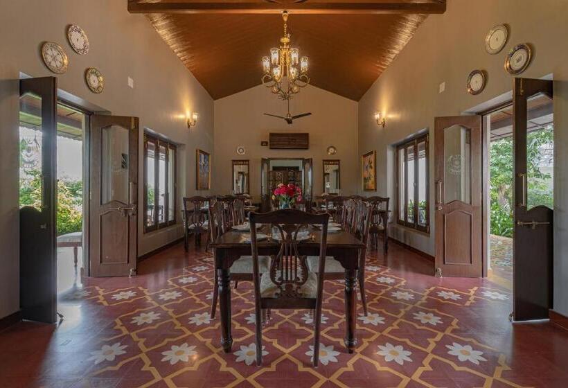 استراحتگاه Tree Of Life Darbargadh Dared