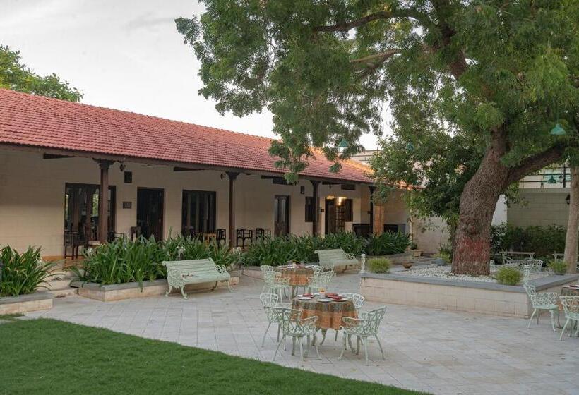 استراحتگاه Tree Of Life Darbargadh Dared