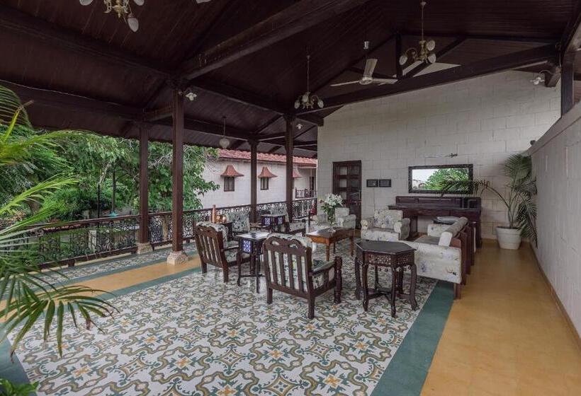 استراحتگاه Tree Of Life Darbargadh Dared