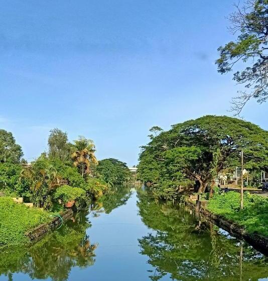 בית מלון כפרי Brooklands Avenue