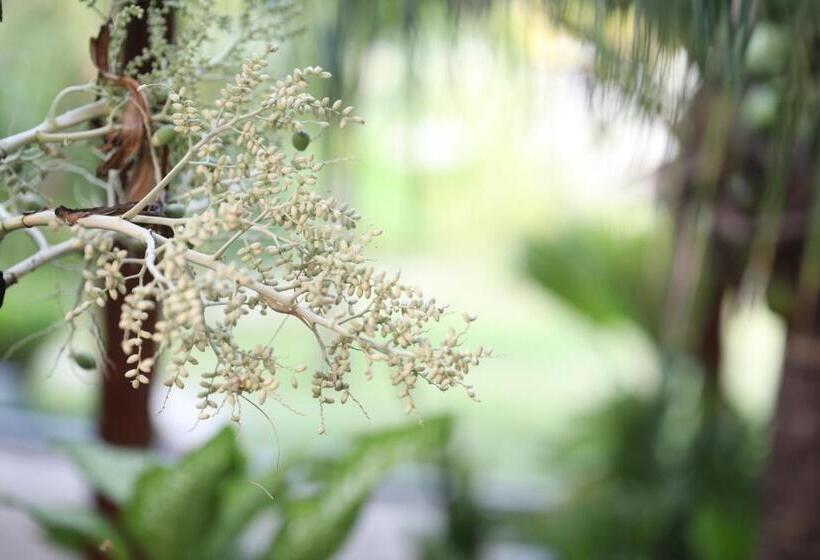 پانسیون Aqua Blu Thoddoo