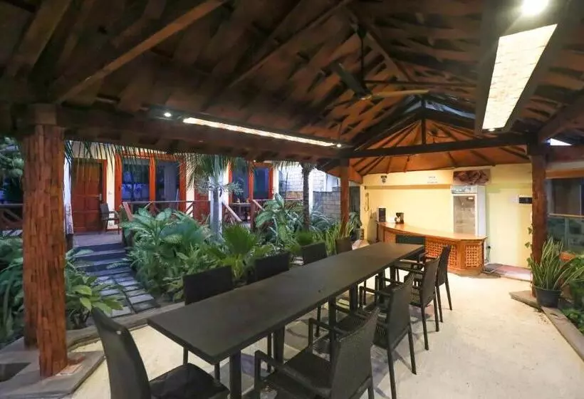 پانسیون Aqua Blu Thoddoo