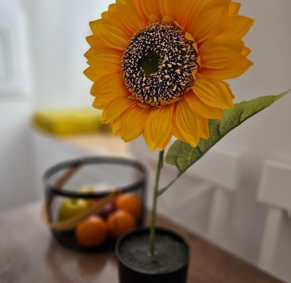 پانسیون Casa Iulia