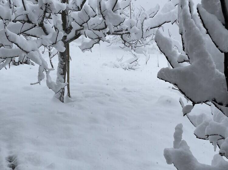 צימר Jomotel Talai