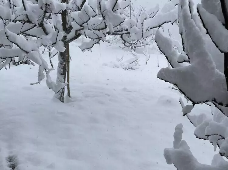 Aamiaismajoitus (B&B) Jomotel Talai