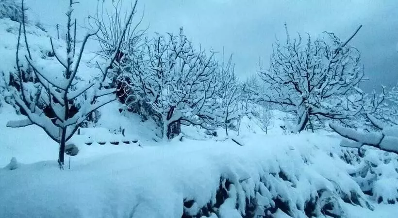 Aamiaismajoitus (B&B) Jomotel Talai