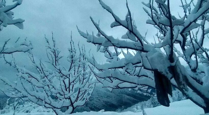 צימר Jomotel Talai