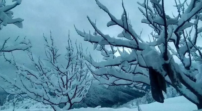 Aamiaismajoitus (B&B) Jomotel Talai