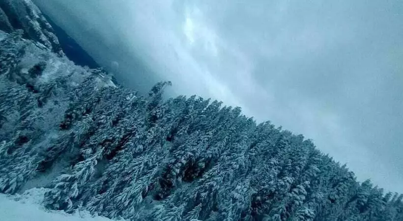 Aamiaismajoitus (B&B) Jomotel Talai