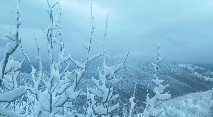 Aamiaismajoitus (B&B) Jomotel Talai