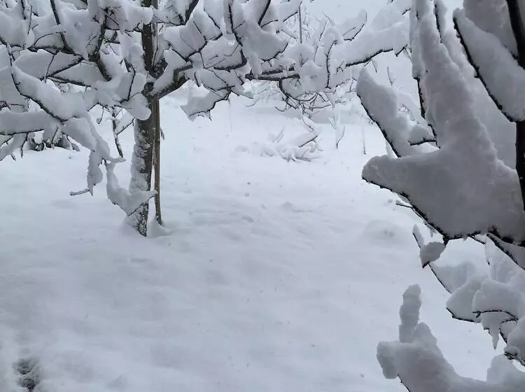 Aamiaismajoitus (B&B) Jomotel Talai