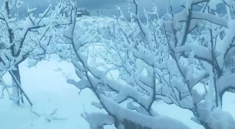 Aamiaismajoitus (B&B) Jomotel Talai