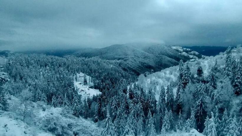 צימר Jomotel Talai