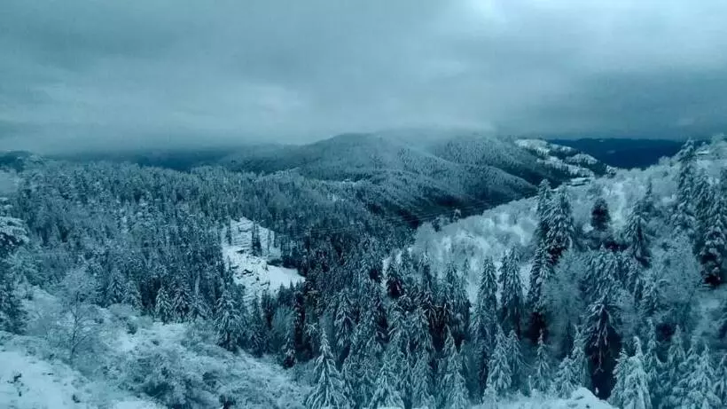 Aamiaismajoitus (B&B) Jomotel Talai