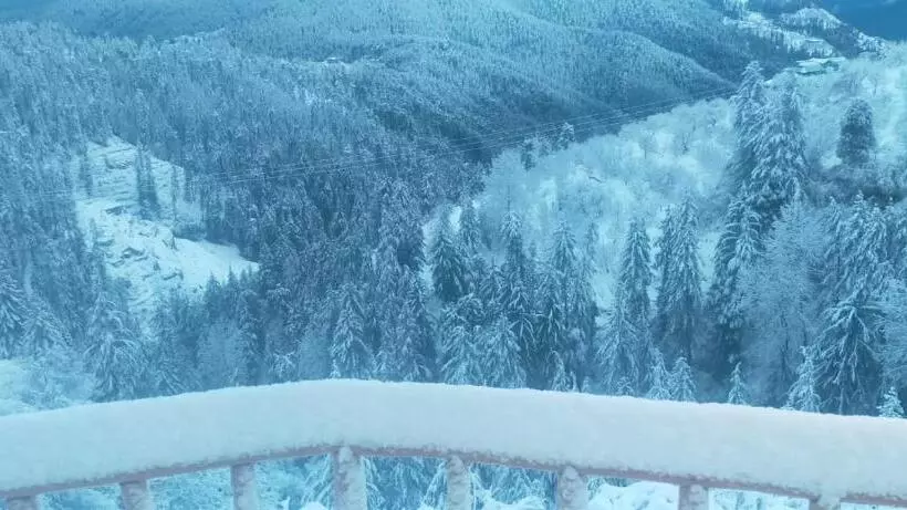 Aamiaismajoitus (B&B) Jomotel Talai