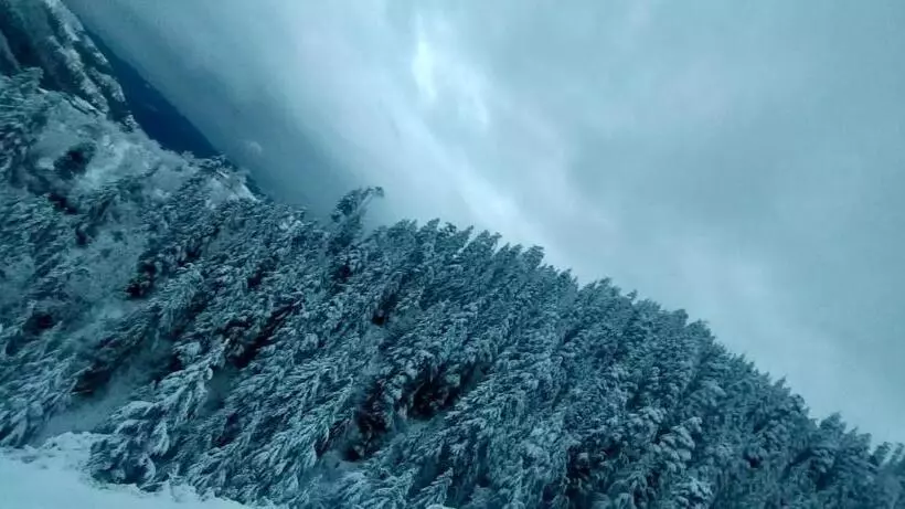 Aamiaismajoitus (B&B) Jomotel Talai