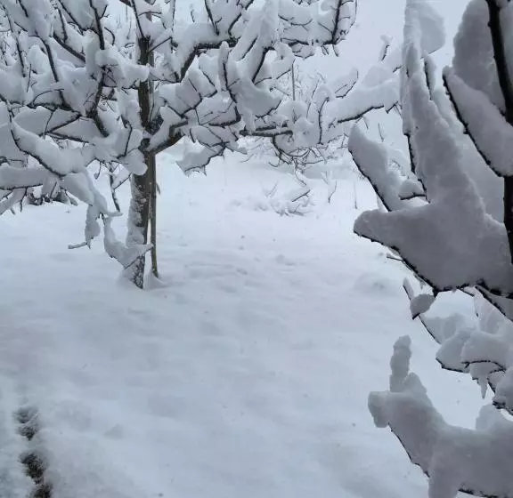 Aamiaismajoitus (B&B) Jomotel Talai