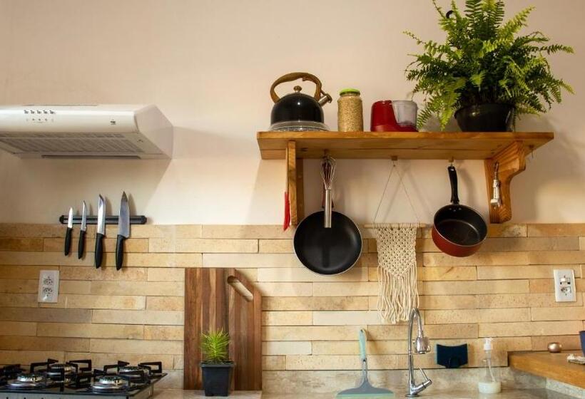 Maravista Kite Preá