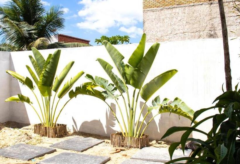 Maravista Kite Preá