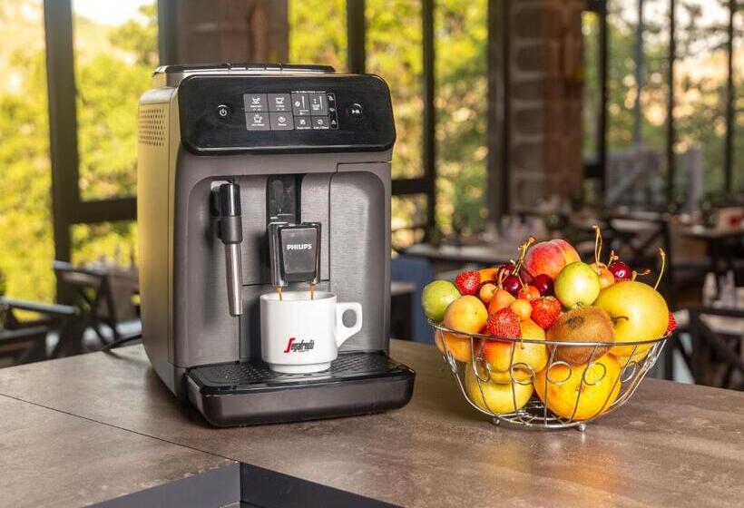 پانسیون Popock Goris