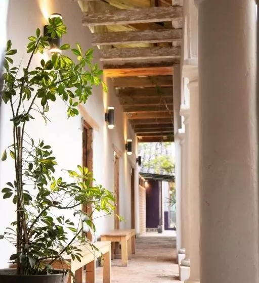 The Coffee Bean Hostel
