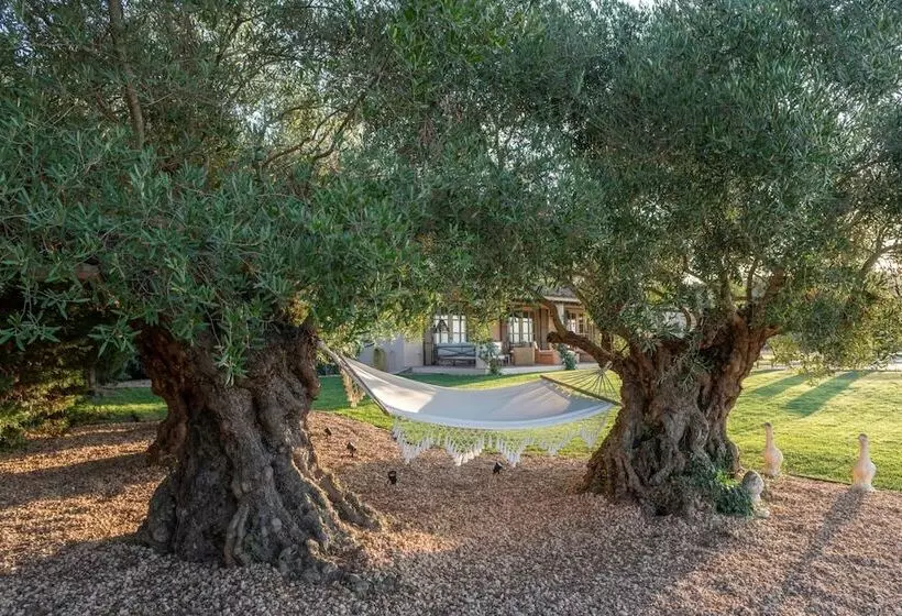 Aamiaismajoitus (B&B) Can Casi House