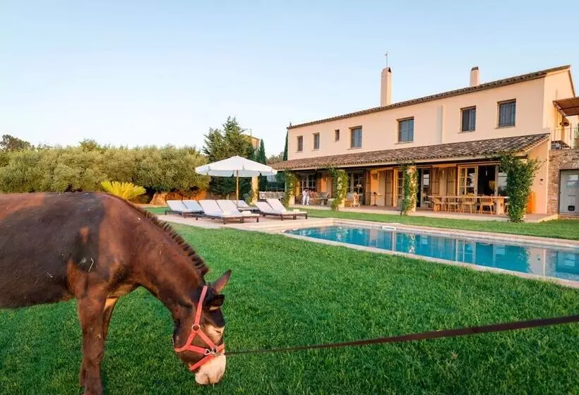 Aamiaismajoitus (B&B) Can Casi House