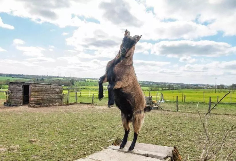 Majatalo Belliloire, Chambre à La Campagne
