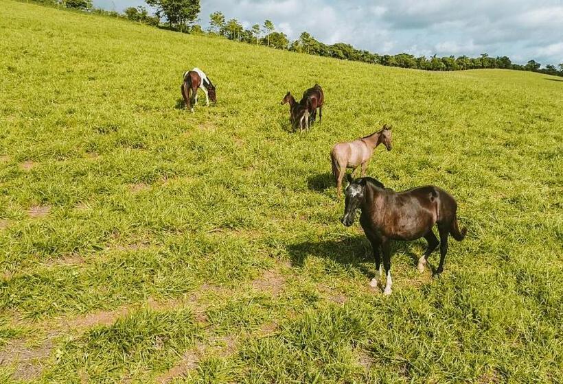 فندق صغير Pousada Vale Da Roça