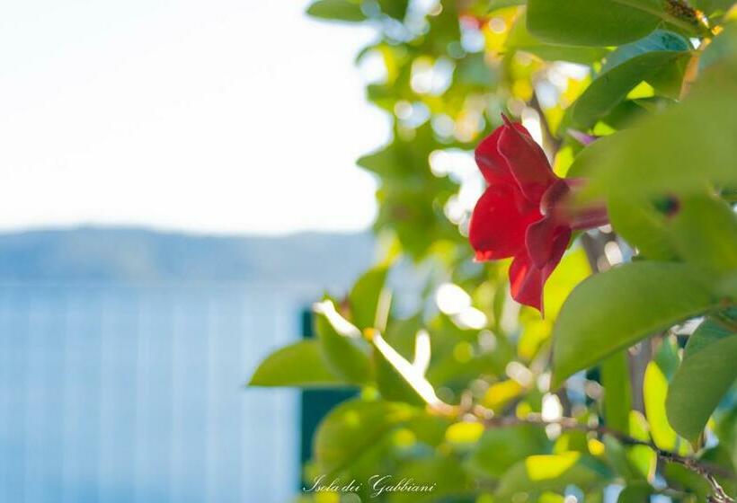 B&b Isola Dei Gabbiani