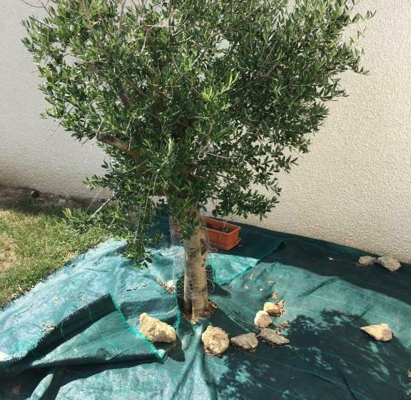 ベッドアンドブレックファースト La Chambre Rose