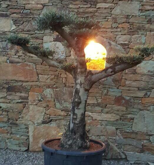 ベッドアンドブレックファースト Villa A Funtanella