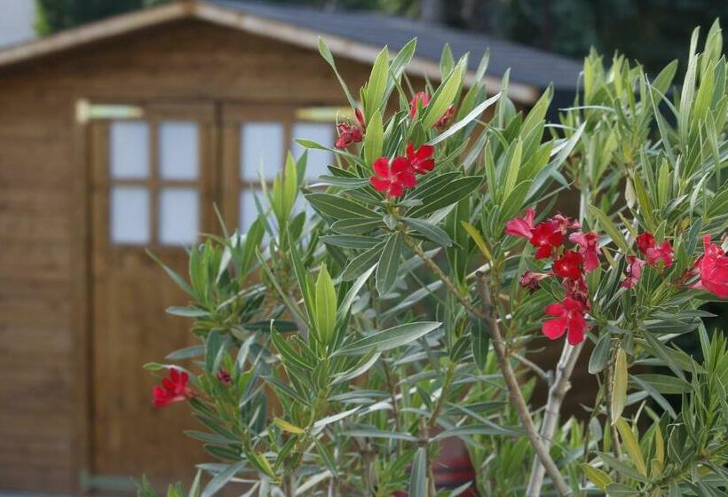 膳宿费 Hóvirág Apartman Balatonberény