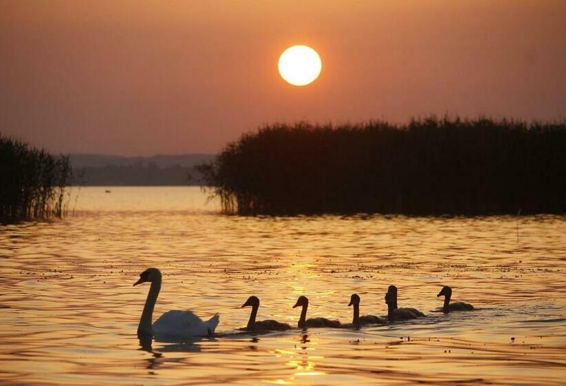 膳宿费 Hóvirág Apartman Balatonberény