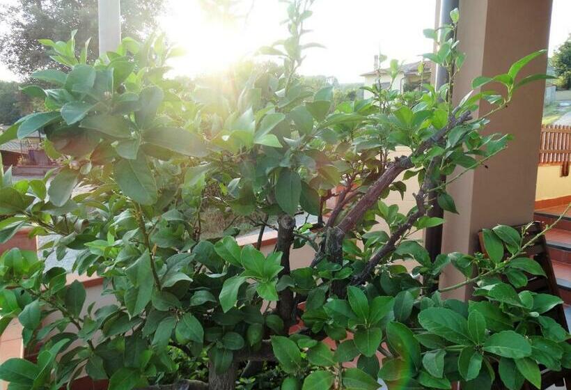 פנסיון L Angolo Della Felicità