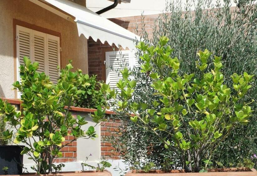 פנסיון L Angolo Della Felicità