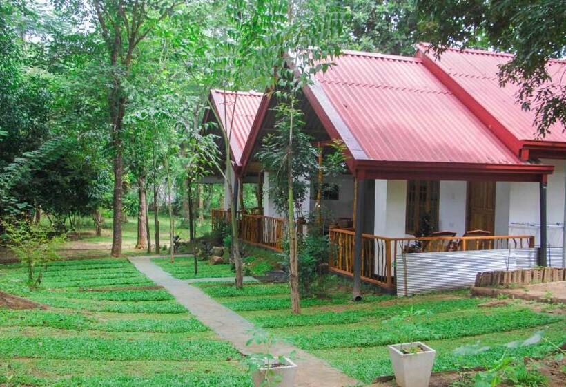 פנסיון Victory Villa Sigiriya