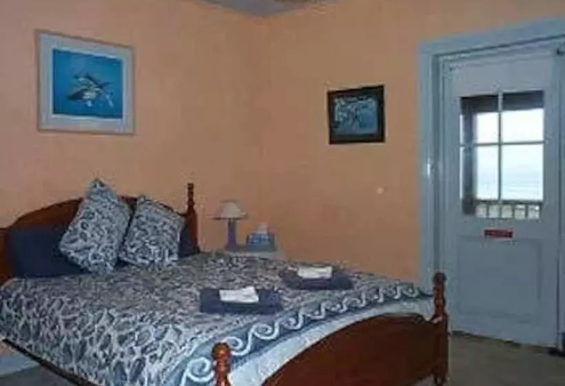 Отель Cape Bridgewater Seaview Lodge