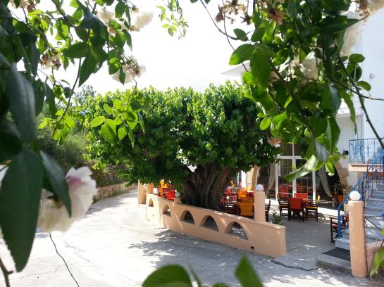 فندق Effie S Dreams Apartments