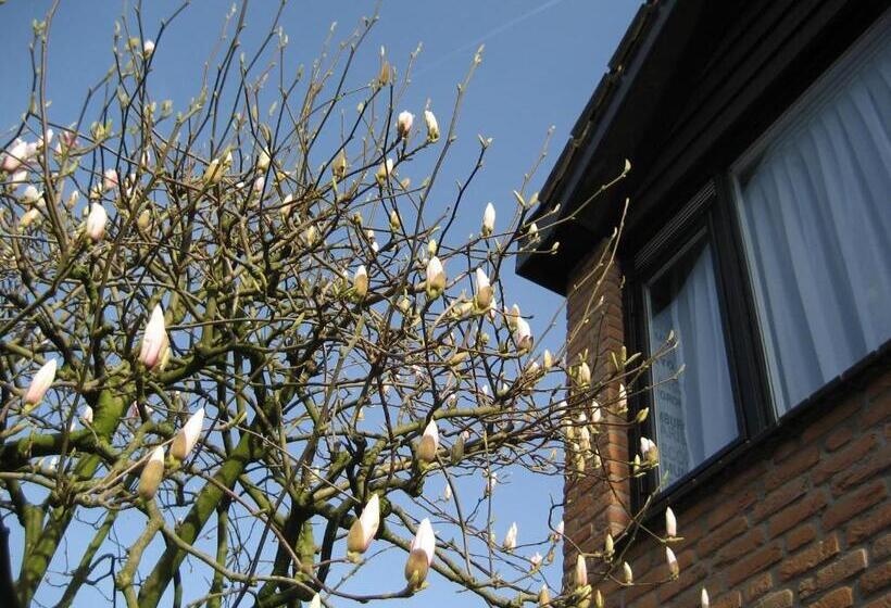 Bed And Breakfast De Mozaiektegel Uden