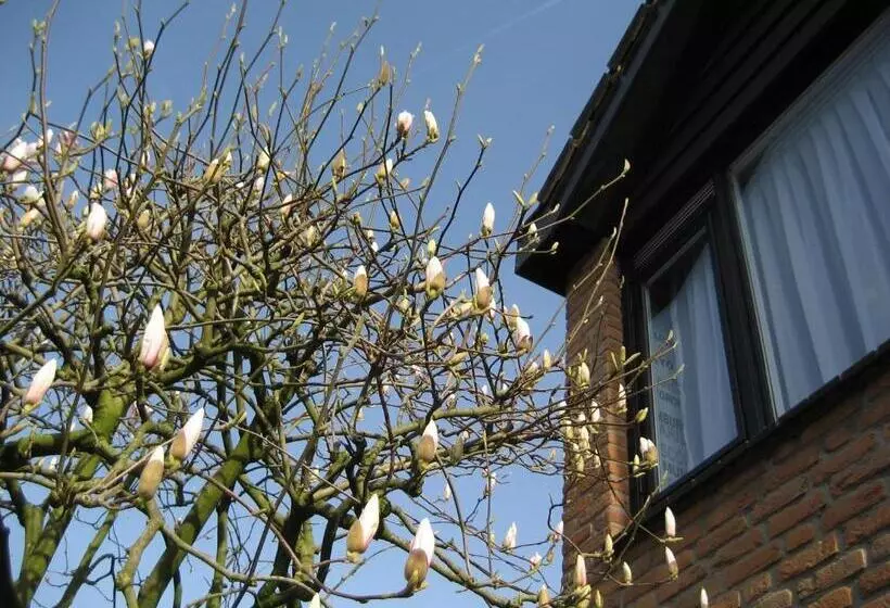 Bed And Breakfast De Mozaiektegel Uden