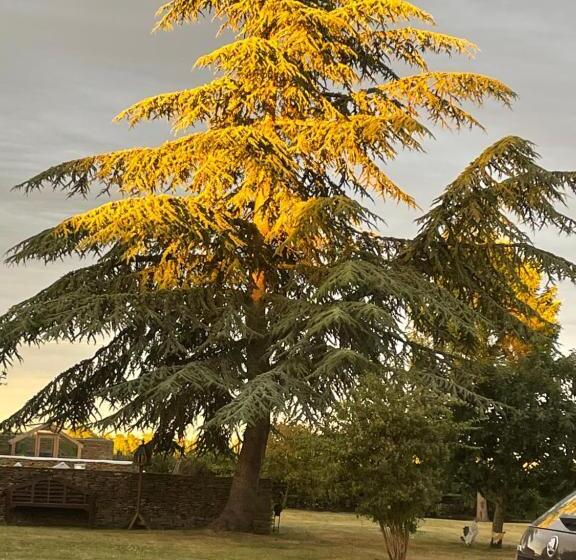 مبيت وإفطار Field End House Strawberry Lane Meysey Hampton